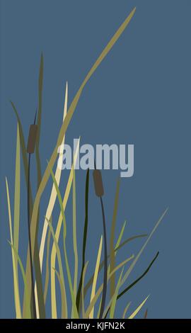 Bush de Swamp reed sur un lac. vector illustration Illustration de Vecteur