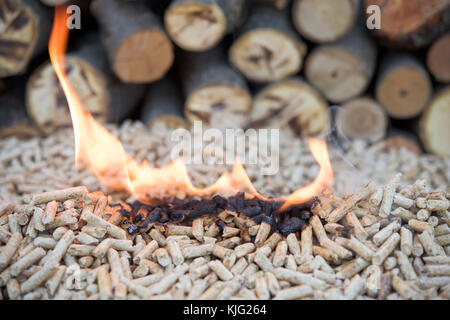 Pile de bois de pin en face mur en bois Banque D'Images