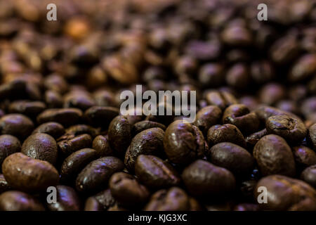 Grains de café Banque D'Images