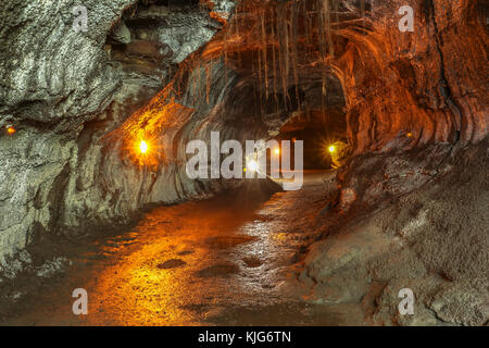 Thurston Lava Tube sur Hawaii Big Island Banque D'Images