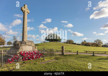 War Memorial, coquelicots, Lyndhurst, Hampshire concept design par Adolphe Franck, Alice Lewis Carrol's Alice au Pays des Merveilles. Plus regardé par Bolton's Bench, Yew Tree Banque D'Images