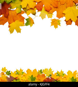 Carte d'automne couleur des feuilles tomber isolé sur fond blanc Banque D'Images