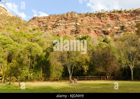 Walter Sisulu National Botanical garden à roodepoort près de Johannesburg. Banque D'Images