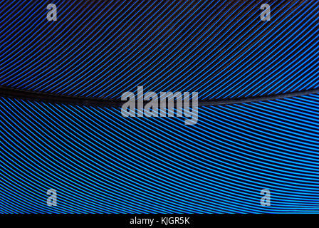 Texture macro en plumes de perroquet Banque D'Images