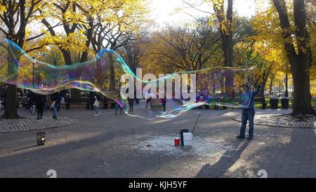 New York, États-Unis. 24 Nov, 2017. Un homme suce grosses bulles dans Central Park à New York en tant qu'enfants et badauds regarder sur une belle journée d'automne, le 24 novembre 2017 Crédit : Adam Stoltman/Alamy Live News Banque D'Images