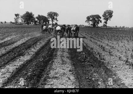 Une photographie de trois agriculteurs, chaque agriculteur exploite son propre cultivateur à deux rangs afin de préparer le sol pour cultiver le maïs, les cultivateurs sont chacun tirés par une équipe de deux chevaux, les arbres se tiennent au bord du champ qu'ils travaillent, les terrains plats et les champs continuent jusqu'à The distance, Ohio, 1938. De la Bibliothèque publique de New York. Banque D'Images