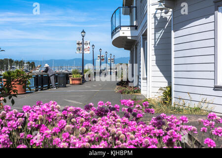 Eureka,california,usa - 5 juin 2017 : vue sur la promenade le long du canal d'eureka Banque D'Images