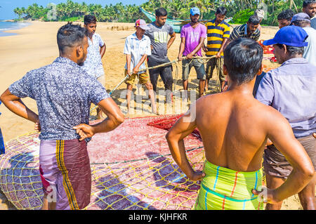 Bentota, Sri Lanka - 6 décembre 2016 : l'équipage de pêcheurs sont au net, plein de friture de poissons, leur principale des prises, le 6 décembre à Bentota. Banque D'Images