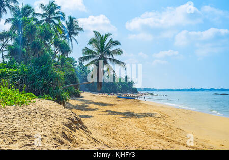 L'agréable plage de bentota avec verdure luxuriante tropic et les pêcheurs, tirant leurs filets de l'océan, Sri Lanka. Banque D'Images