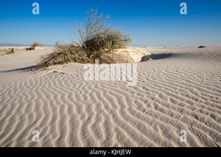 La belle et unique White Sands National Monument au Nouveau Mexique.Ce champ de dunes de gypse, est le plus grand du monde. Situé dans le Sud Banque D'Images