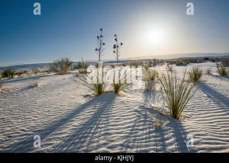 La belle et unique White Sands National Monument au Nouveau Mexique.Ce champ de dunes de gypse, est le plus grand du monde. Situé dans le Sud Banque D'Images