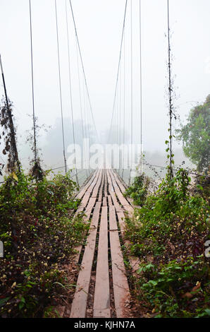 Bambou en bois suspension bridge in forest pour personnes traversant petit ruisseau dans le temps du matin à ban bo bo kluea kluea village de district de nan, sesana Banque D'Images