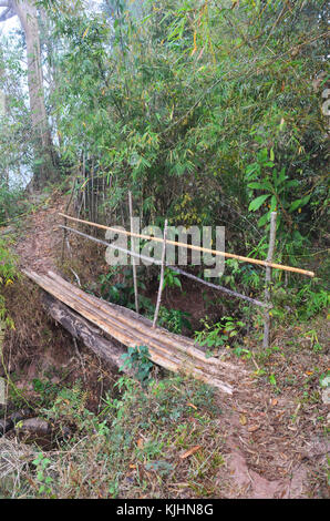 Pont de bambou en bois en forêt pour les personnes traversant petit ruisseau à ban bo bo kluea kluea village de district de Nan, Thaïlande Banque D'Images