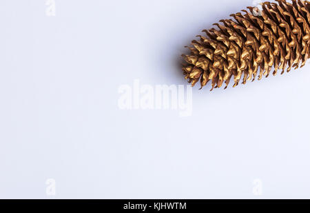 Une partie de la pomme de pin isolé sur fond blanc Banque D'Images