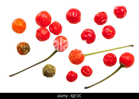 Les chiltepins chili tepin poivrons (Capsicum annuum var. glabriusculum), vue du dessus, chemins de détourage Banque D'Images