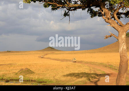 Un véhicule hors route au volant dans la savane africaine. Le Masai Mara. Au Kenya. Banque D'Images