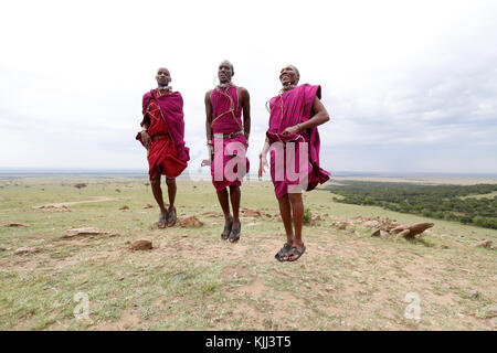 Guerriers Masai faisant le saut traditionnel de la danse. Le Masai Mara. Au Kenya. Banque D'Images