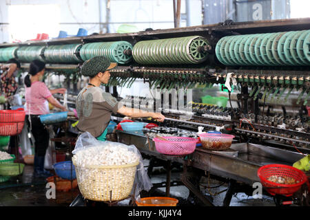 Usine de soie traditionnelle. Femme au travail sur machine à filer de la soie. Dalat. Le Vietnam. Banque D'Images