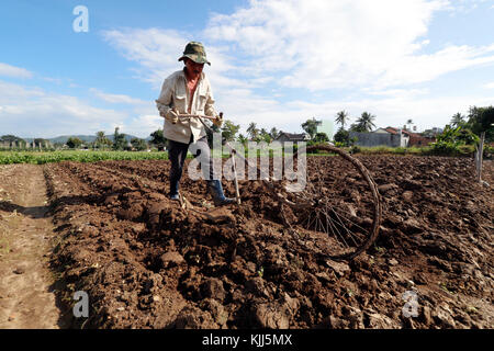 Domaine de l'agriculture. Domaine de l'agriculture. Riziculteur au travail. Sur la charrue. Kon Tum. Le Vietnam. Banque D'Images