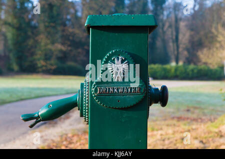 Green drinkwater (eau potable) dans un parc néerlandais Banque D'Images