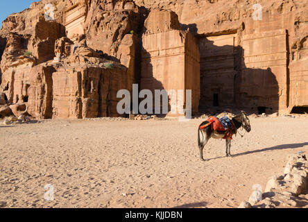 Un âne à harnais typique attend les touristes pour une promenade, devant les vieilles tombes sculptées de Petra, en Jordanie. Banque D'Images