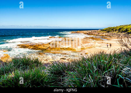 Paysage le long de la Jibbon piste dans le Royal National Park, New South Wales, Australie Banque D'Images