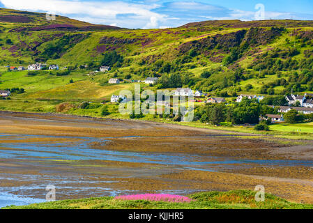 Paysage magnifique de la nature luxuriante de l'île de Skye en Ecosse en été. Banque D'Images