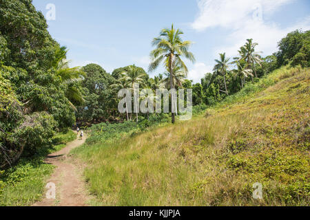 Dravuni island, Fidji, îles du Pacifique-novembre 29,2016 : sentier de randonnée à travers la végétation luxuriante de la médecine tropicale, l'île dravuni à distance, Fidji Banque D'Images