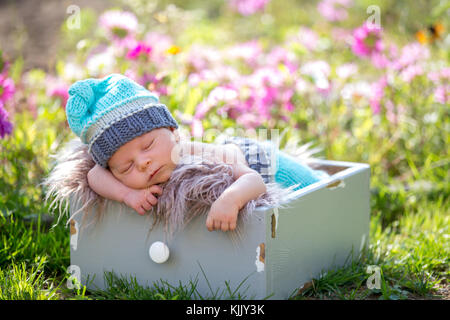 Mignon bébé nouveau-né garçon, dormir paisiblement dans le panier dans le jardin de fleurs Banque D'Images