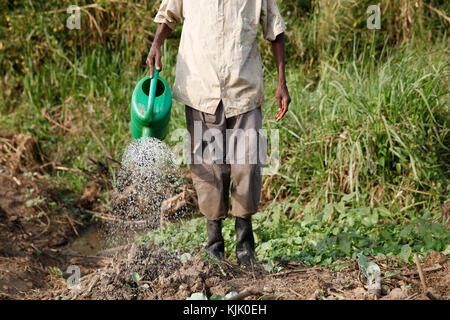 Byarunga 2 agriculteur Apollo a reçu des prêts de microfinance ENCOT. L'Ouganda Banque D'Images