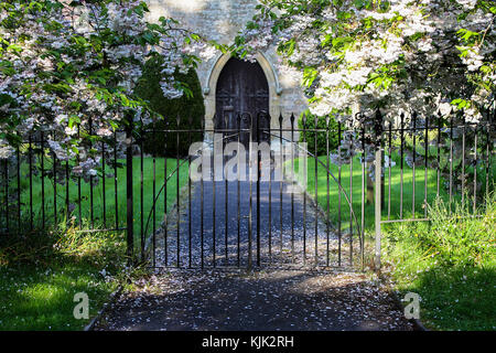 Les portes de l'église St Marys à Acton Burnell avec fleurs printanières. Banque D'Images