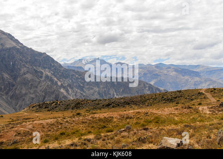 Vue sur le canyon de colca, Pérou, Amérique du Sud, de mirador Cruz del Condor. L'un des canyons les plus profonds au monde. Banque D'Images