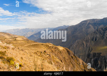 Vue panoramique sur le canyon de colca, Pérou, Amérique du Sud, de mirador Cruz del Condor. L'un des canyons les plus profonds au monde. Banque D'Images