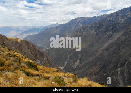 Vue sur le canyon de colca, Pérou, Amérique du Sud, de mirador Cruz del Condor. L'un des canyons les plus profonds au monde. Banque D'Images