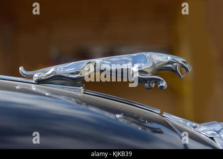 HAUPIRI, Nouvelle-Zélande, le 18 mars 2017 : un ornement de capot jaguar repéré lors d'un rallye de voitures anciennes. Banque D'Images