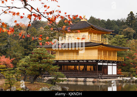 Feuilles d'érable rouge en automne au pavillon d'or, temple kinkakuji. la célèbre attraction touristique dans la région de Kansai, Kyoto, Japon. Banque D'Images