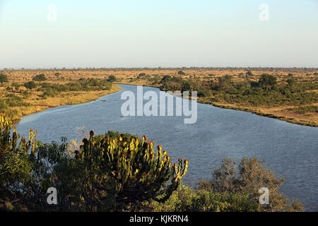 Le Parc National de Kruger. Abaisser Sabie. L'Afrique du Sud. Banque D'Images