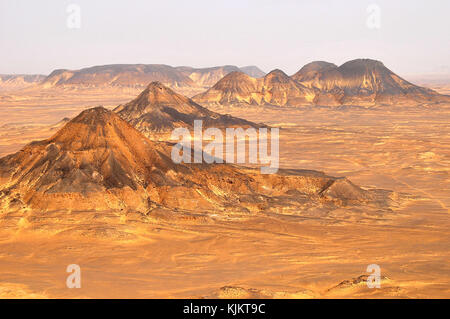 Bahariya oasis dans le désert égyptien 'black', province Assiout. L'Égypte. Banque D'Images