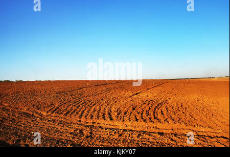 Les champs labourés dans la plaine de l'alentejo portugal Banque D'Images
