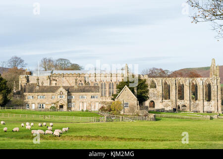 Bolton Abbey près de Skipton Wharfedale Yorkshire Angleterre Nord Yorkshire Dales Banque D'Images