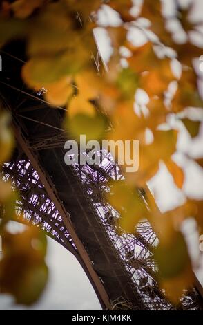 Tour Eiffel - 24/11/2012 - - Tour Eiffel - automne couleur au pied de la Tour Eiffel à Paris - Sylvain Leser / le Pictorium Banque D'Images