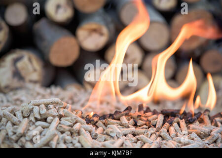 Granulés de bois - l'énergie renouvelable dans le feu Banque D'Images