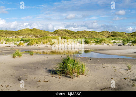 Dans les dunes, à l'île nord-frison amrum, Allemagne Banque D'Images