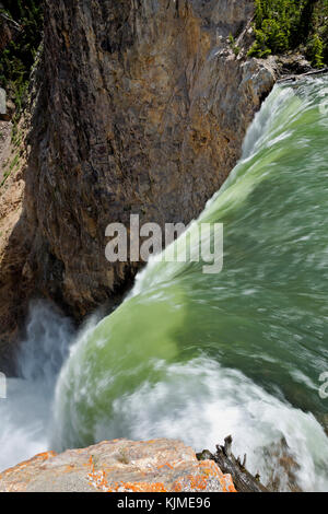 Wy02645-00...wyoming - vue de la rivière Yellowstone au bord de l'upper falls vue dans la région du canyon du parc national de Yellowstone. Banque D'Images