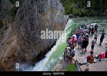 Wy02646-00...wyoming - affichage des visiteurs Yellowstone River de l'upper falls vue dans la région du canyon du parc national de Yellowstone. Banque D'Images