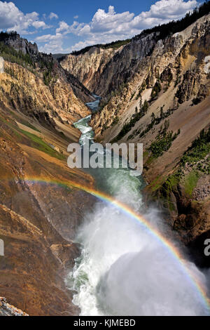 Wy02648-00...wyoming - vue de la rivière Yellowstone au bord de l'upper falls vue dans la région du canyon du parc national de Yellowstone. Banque D'Images