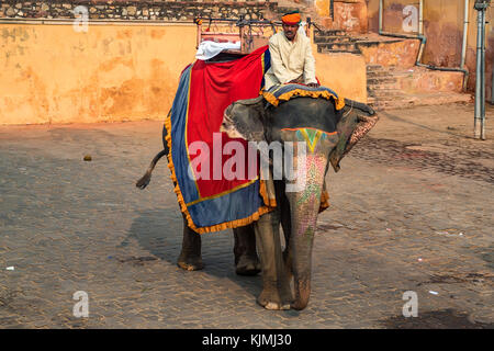 Jaipur, Inde - circa novembre 2017 : homme non identifié rides elephant Banque D'Images