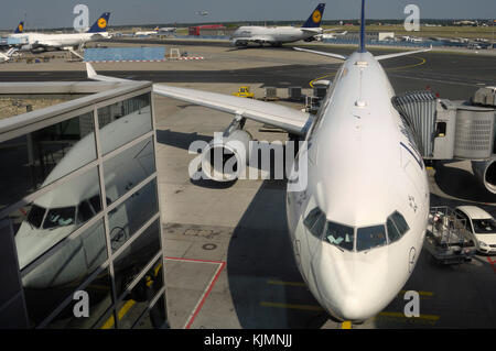 Pare-brise de la Lufthansa Airbus A330-300 garé au terminal avec Rolls-Royce Trent 772B-60 et Boeing 747-400 s moteur derrière Banque D'Images