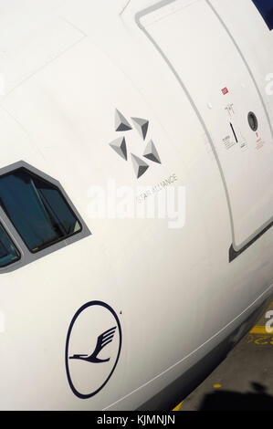 Lufthansa et Star Alliance logos, pare-brise et porte de l'Airbus A330-300 de la Lufthansa Banque D'Images