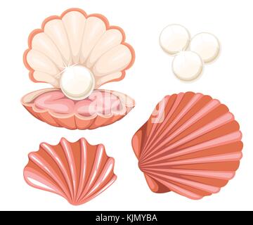 Coquillage rose avec perle. vector illustration isolé sur fond blanc. page de site web et mobile app design Illustration de Vecteur